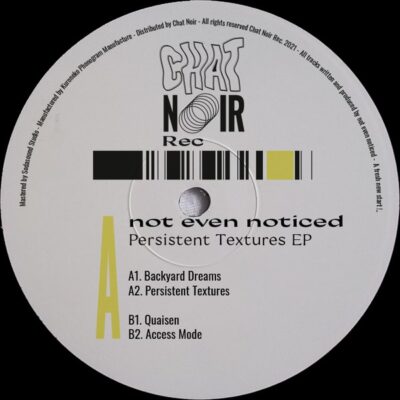 not even noticed - Persistent Textures EP - 12", EP