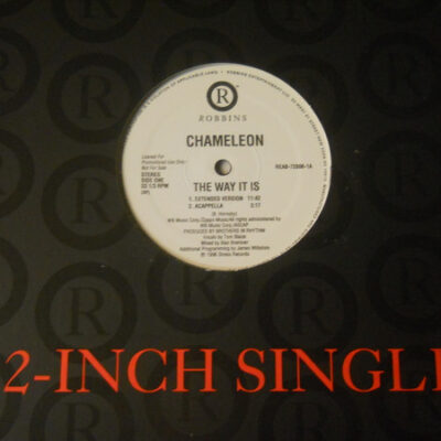 Chameleon (2) - The Way It Is - 12", Pro