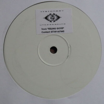 Visionary Underground - Feeling Good / Ride - 12", W/Lbl, Sti