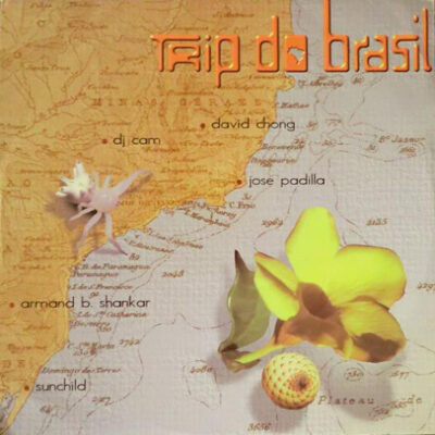 Various - Trip Do Brasil - The Brasilian Flavor - 12"