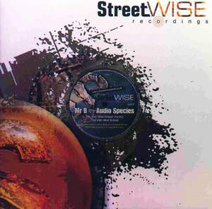 Mr. B (6) vs. Audio Species - Next School - 12"