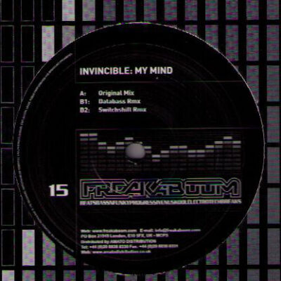 Invincible - My Mind - 12"