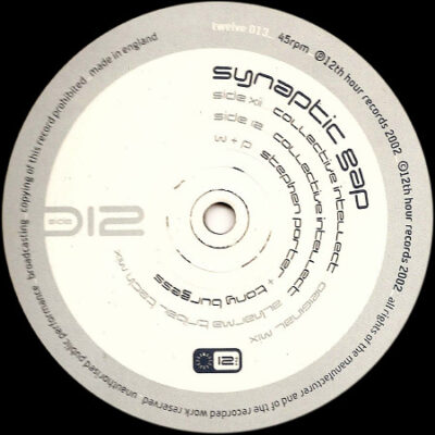 Synaptic Gap - Collective Intellect - 12"