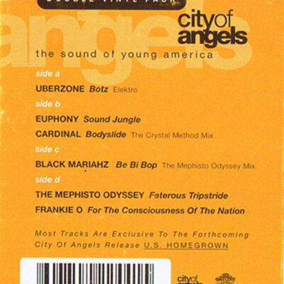 Various - The Sound Of Young America - 2x12", Promo