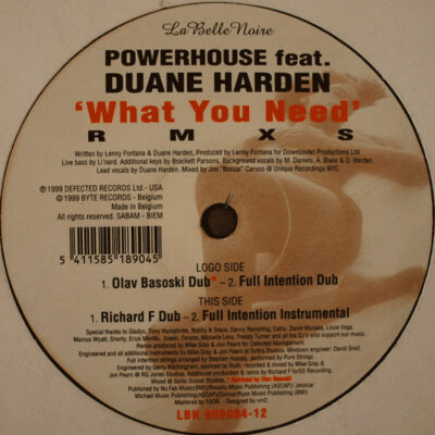 Powerhouse - What You Need - 12"