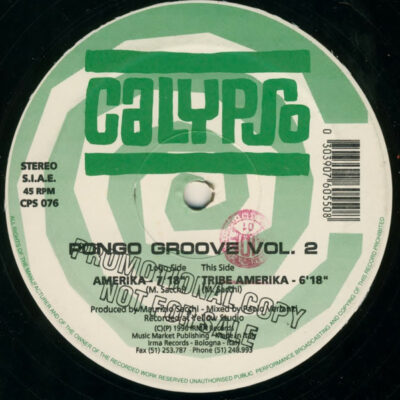 Pongo Groove Vol.2 - Americka / Tribe Amerika - 12", Promo
