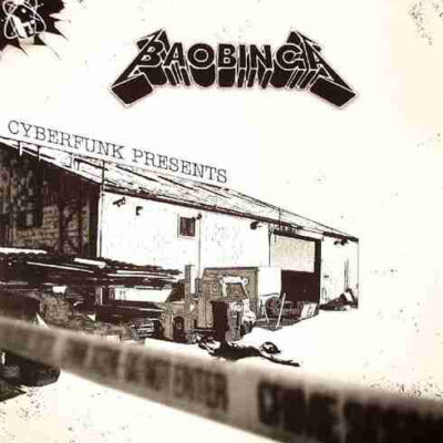 Baobinga - The Bashment Track - 12"