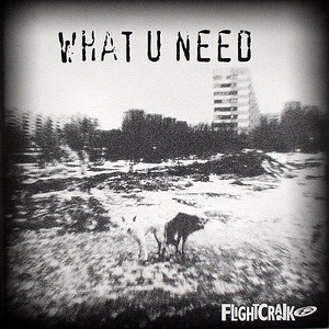 Flightcrank - What U Need - 12", Single