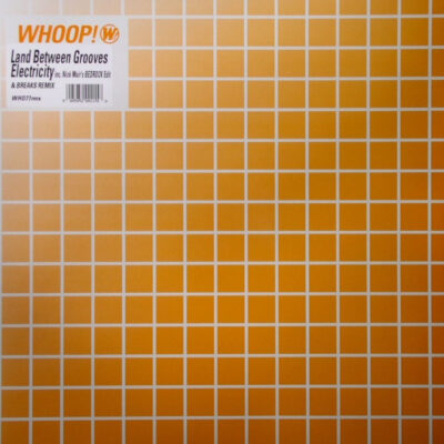 Land Between Grooves - Electricity (Remixes) - 12"