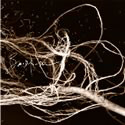 Saidrum - Faze Large - 12"